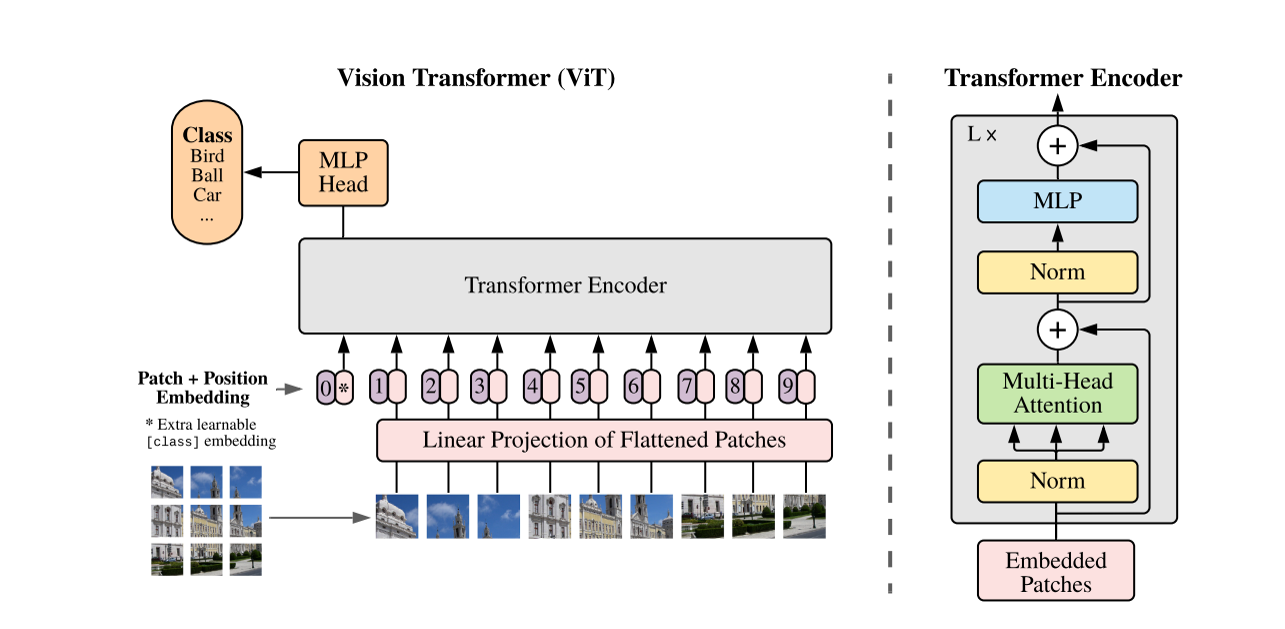 vision_transformer_encoder